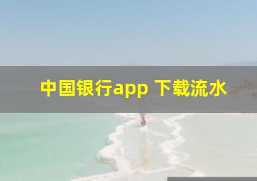 中国银行app 下载流水